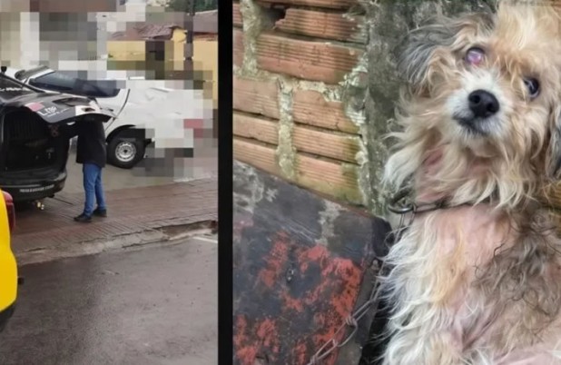 Homem é preso por maus-tratos a cão