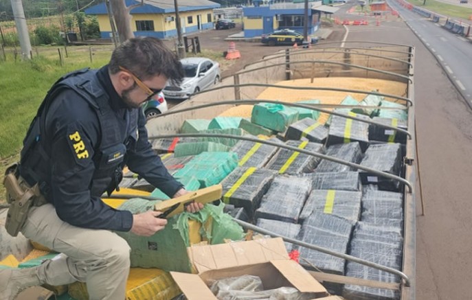 PRF apreende, no Paraná, a maior quantidade de maconha do ano em rodovias federais