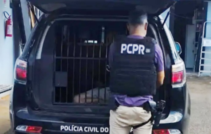 Polícia Civil prende homens por furto e receptação de portas de alumínio