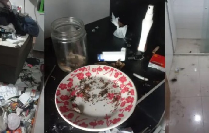 Criança de 3 anos é resgatada após agressões em ambiente de uso de drogas; dois homens são presos