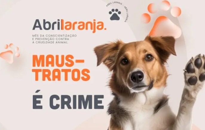 Ações de conscientização contra maus-tratos a animais são realizadas