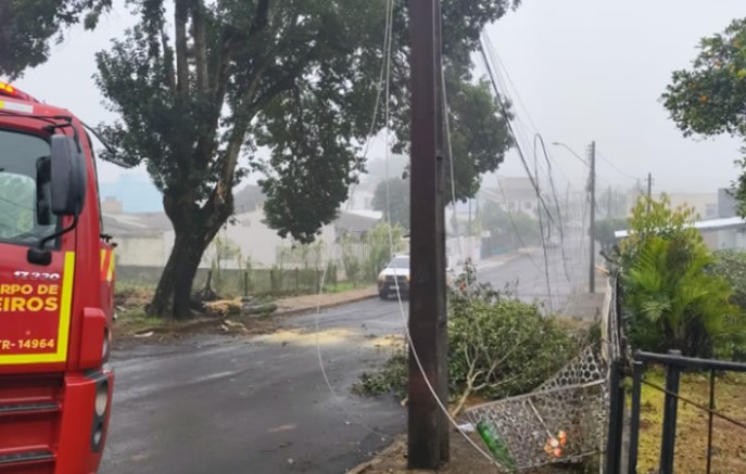 Queda de árvore afeta atendimento na Unidade de Saúde da Cango
