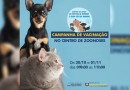 Centro de Zoonoses realiza campanha de vacinação