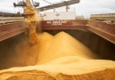 Exportações do Paraná aumentam 11,7% nos primeiros oito meses de 2023