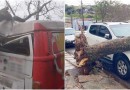 Pato Branco enfrenta forte chuva e estragos são registrados