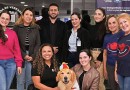 Lei garante cães terapeutas em ambientes de saúde