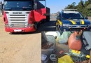 Motorista de caminhão é preso por dirigir embriagado na BR-376