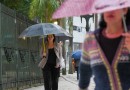 Após tempestades com raios e granizo no Paraná, semana segue chuvosa no Oeste e Sudoeste