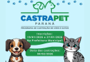 Município abre inscrições para castração gratuita de cães e gatos