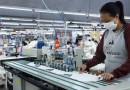 Paraná lidera colocação de mulheres no mercado de trabalho via Rede Sine em 2024