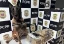 Cães policiais ajudam forças de segurança a apreender quase 150 toneladas de drogas em 2025