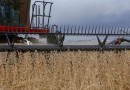 Paraná lidera crescimento da safra de grãos, com alta de 447 mil toneladas, aponta IBGE