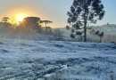 Inverno brasileiro começa hoje e será mais frio que em 2024