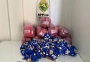 Polícia apreende grande quantidade de ursos de pelúcia durante operação em Realeza