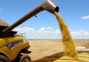 PIB do Paraná cresce mais que o dobro da média nacional nos primeiros trimestres de 2023