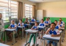 Entre as menores do País, taxa de analfabetismo do Paraná alcança mínima histórica