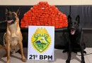 ROTAM apreende mais de 77 quilos de maconha em transportadora