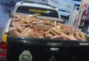 Mais de 480kg de maconha são apreendidos pela polícia na PR 483