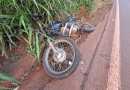 Condutor de motocicleta fica ferido após atropelar cachorro na PR-493