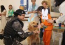 Cães da PMPR passam a auxiliar no tratamento de pacientes em hospital de reabilitação