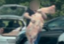 Polícia identificou 11 placas e cinco pessoas envolvidas no saque de carne