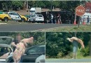 Caminhão tomba na PR-182 e carga de carne é saqueada antes da chegada da polícia em Realeza