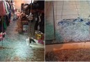 Bandidos arrombam e furtam duas lojas no centro de Barracão