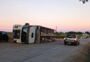 Caminhão carregado com porcos tomba na PRC-280