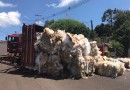 Caminhão de Beltrão tomba no centro de Coronel Vivida