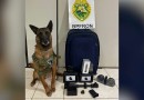 Cão Farejador ajuda a localizar miras e carregadores de fuzil em bagagem de passageira