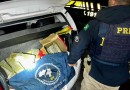 Jovem é usado como 'laranja' do tráfico e acaba apreendido com droga em Rodovia Federal