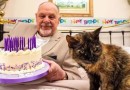 Gata de 31 anos pode se tornar a mais velha do mundo após rotina de cuidados especiais