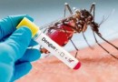 Dengue registrou aumento de 400% e matou mais que o Covid-19 em 2024