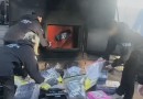 Polícia Civil incinera mais de 246 quilos de drogas apreendidas