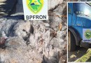 BPFRON apreende caminhão carregado com recicláveis irregulares vindos da Argentina