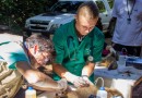 UFFS - Campus Realeza desenvolve projeto para atendimento de animais silvestres da região