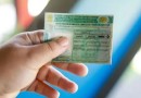 Pesquisa aponta 55 mil habilitados no município e alerta sobre quase 5 mil com CNHs a regularizar