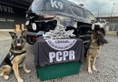 Com apoio de cães farejadores, droga é apreendida em ônibus