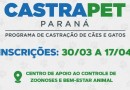 Programa Castrapet abre inscrições, em Francisco Beltrão