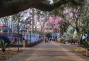 IBGE vai visitar 5 mil domicílios no Paraná para mapear informações de saúde