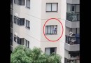 Susto e desespero com criança pendurada em janela de prédio