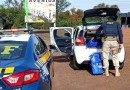 PRF apreende quase 94 kg de maconha e prende homem em Realeza (PR)