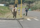 Trevos, ruas e sinalização: Prefeitura intensifica cuidado com a cidade