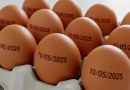 Governo volta atrás e suspende determinação de carimbar data de validade em ovos
