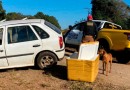 Polícia Militar apreende mais de 700 quilos de drogas em operações no Interior