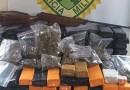 PM deflagra operação contra o tráfico de drogas em Ponta Grossa