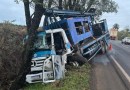 Motorista fica ferido após colisão entre caminhões e árvore na BR-163