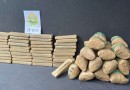 Mais de 55 quilos de maconha são apreendidos pela Polícia Militar