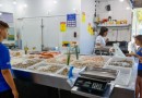 Vigilância Sanitária dá dicas sobre compra de peixes durante a Semana Santa