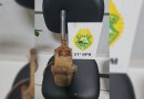 Homem é preso por suspeita de furto
